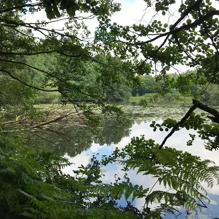 Naturapur Lägenhet *