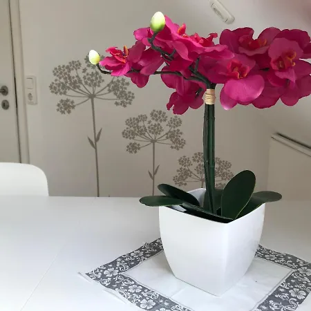 Naturapur Apartment