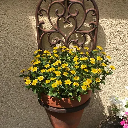 Naturapur * Pleinfeld